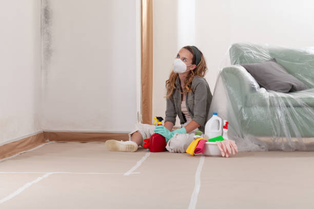 Reliable Mold Testing contractor in Wake, VA by WQB Mold Removal