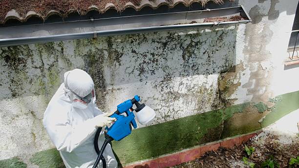 Top rated local Mold Testing specialists in Wake, VA